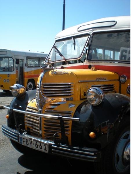 Malta�ski autonus