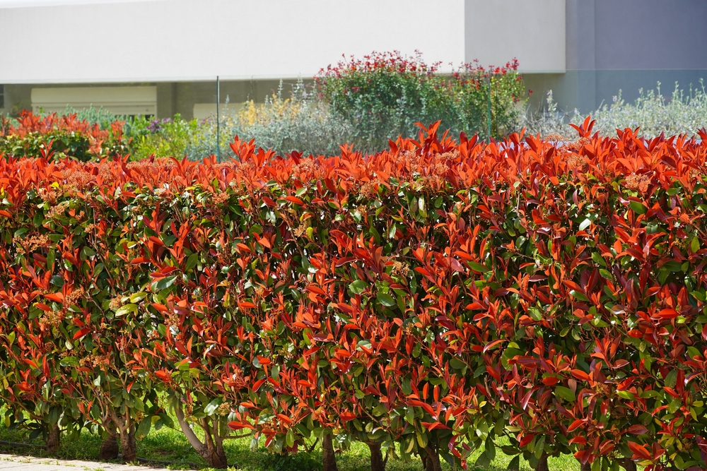 fot. Shutterstock/Konstantinos Livadas