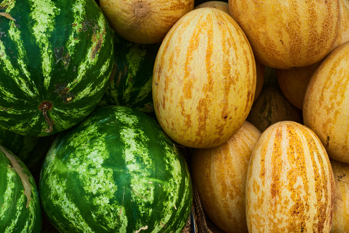Melon czy arbuz? Jeden z nich ma dużo więcej witamin