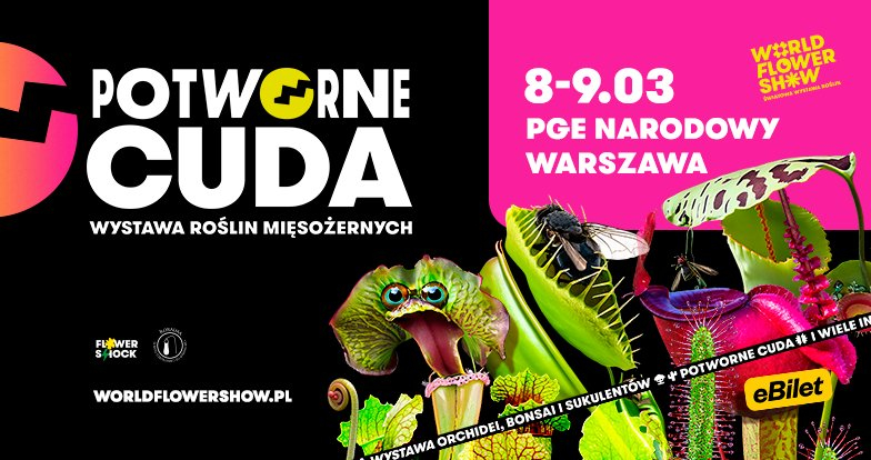 World Flower Show – Najbardziej spektakularne wydarzenie roślinne roku!