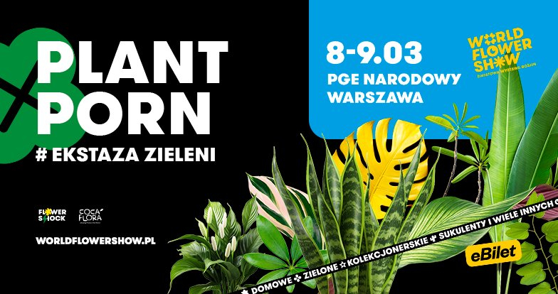 World Flower Show – Najbardziej spektakularne wydarzenie roślinne roku!